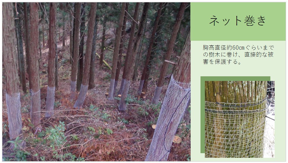 森林整備事業について