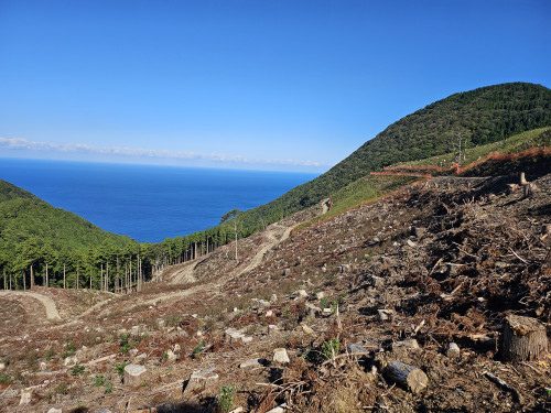 事業委員会の現地視察を行いました！