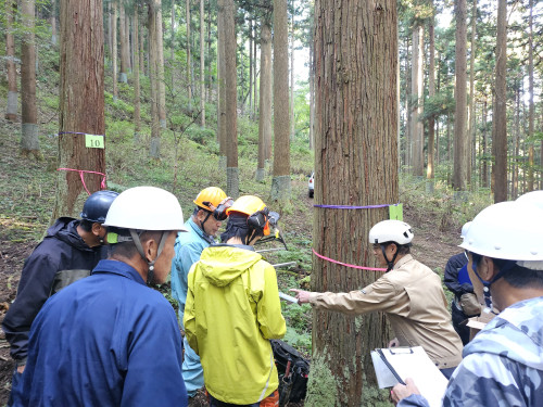 令和7年度 立木材積測定競技会に参加しました！