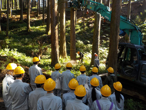 武生商工高校の学生さんが、林業体験を行いました！　【丹生支所】