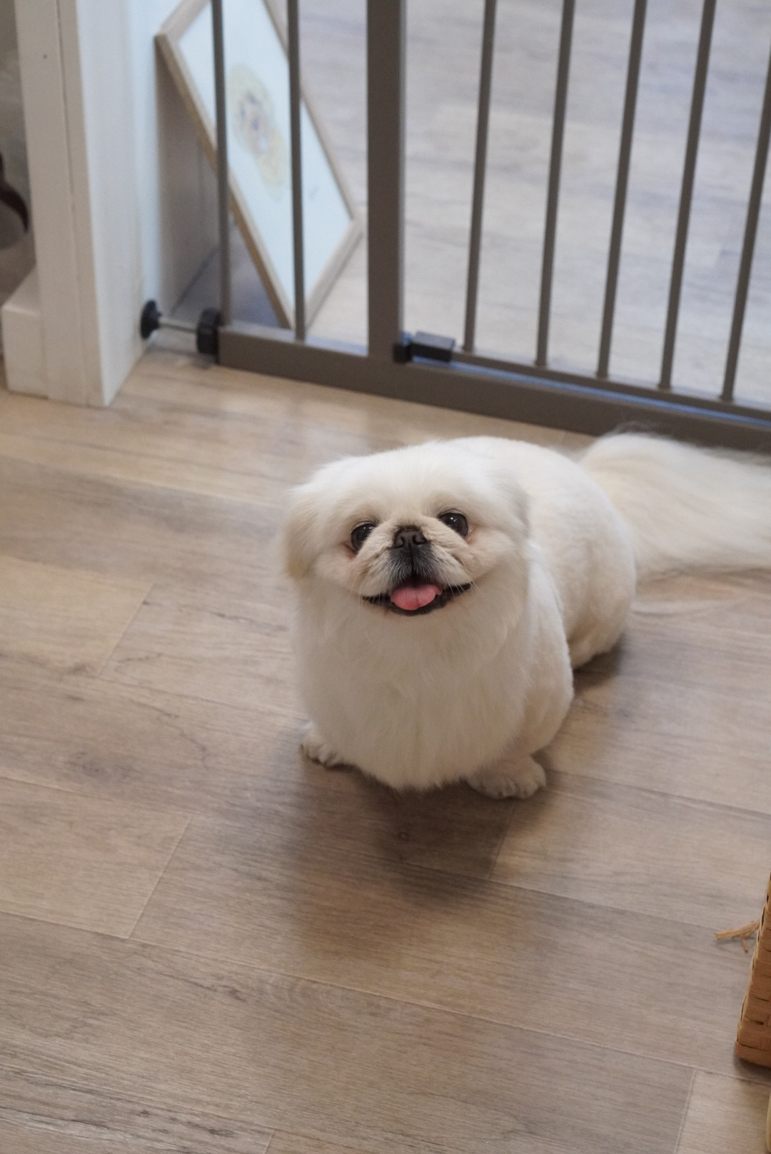 DSC04723.jpeg