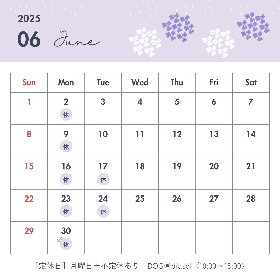 6月のお休みです🐶