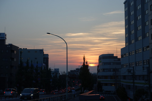 DSC01670.jpeg