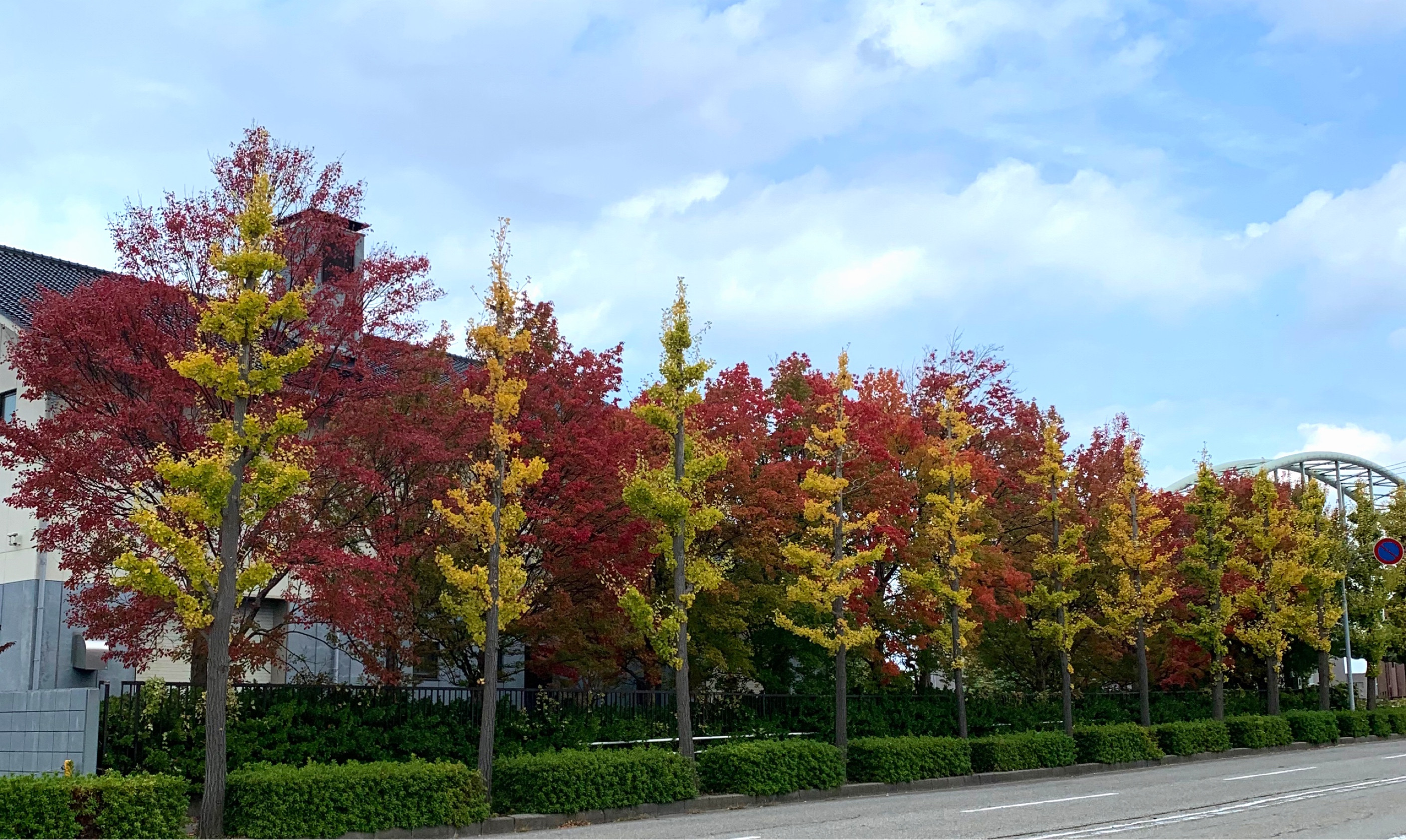 年末の最終予約受付日につきまして