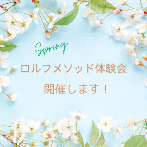 IMG_3532.png