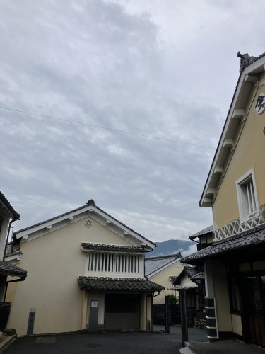 本日の橘造園やんで