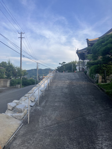 本日の橘造園