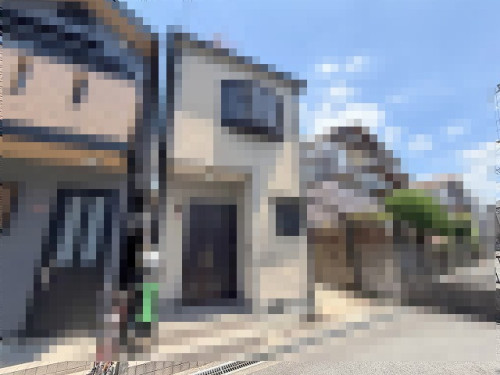 mosaic_IMG_3694.jpg