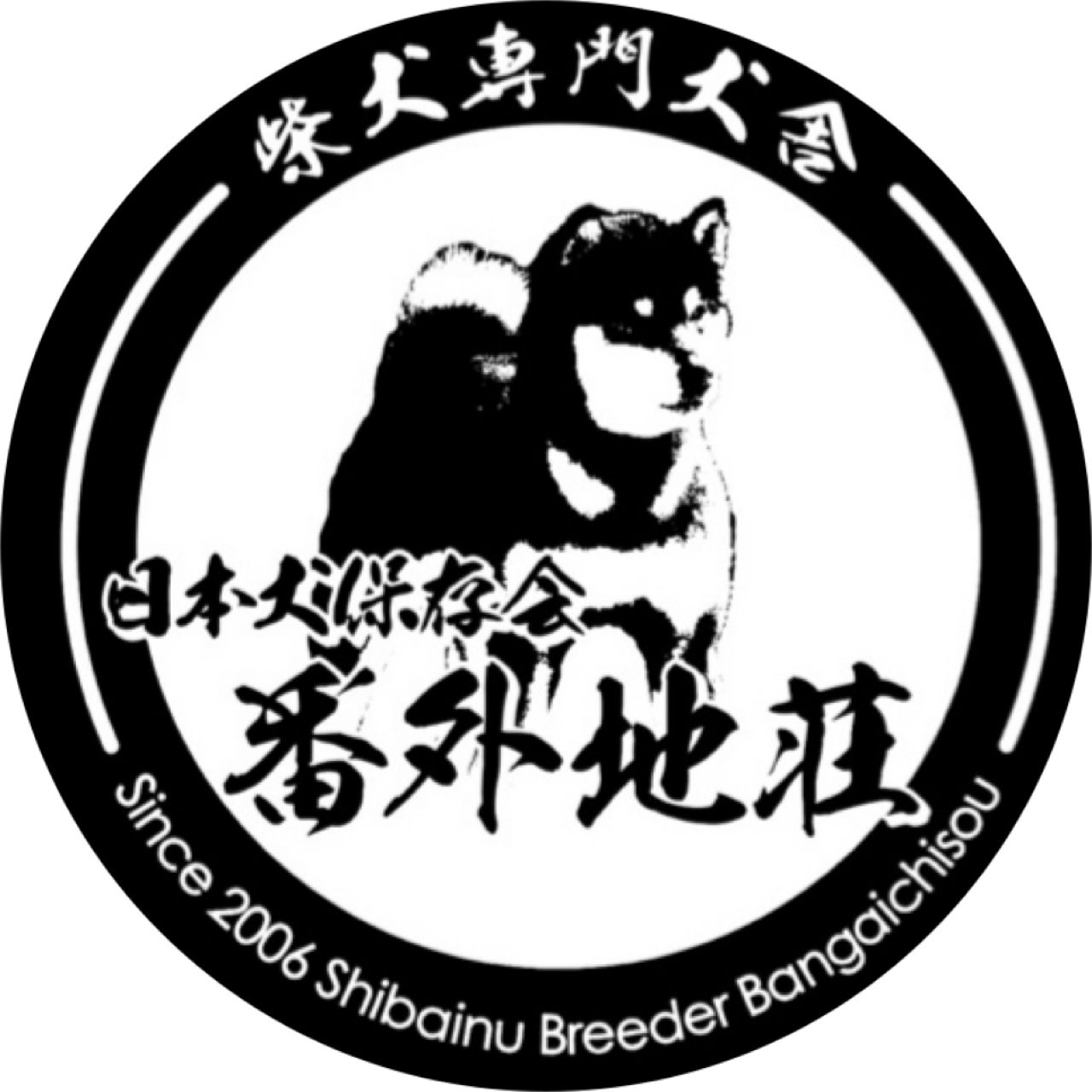 柴犬 柴犬専門犬舎 番外地荘 柴犬 柴犬専門犬舎 番外地荘