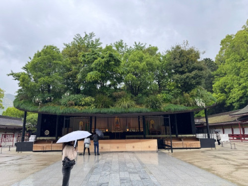 やっぱり、見に行っちゃいました！太宰府天満宮仮殿