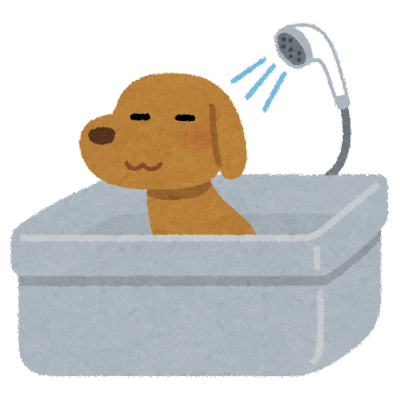 pet_dog_bath.png