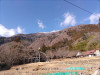 DSC_1726.JPG