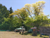 DSC_2620.JPG