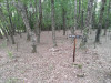 DSC_2762.JPG
