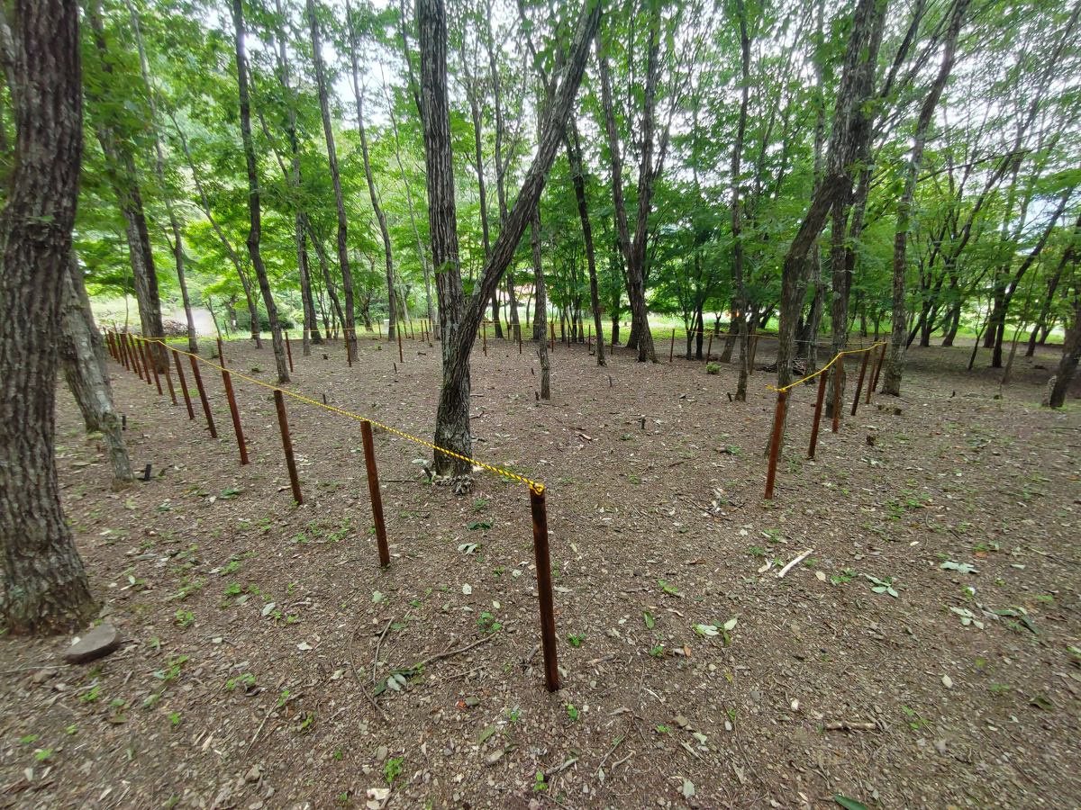 【林間サイト　1日最大4組まで】