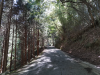 道路清掃.png