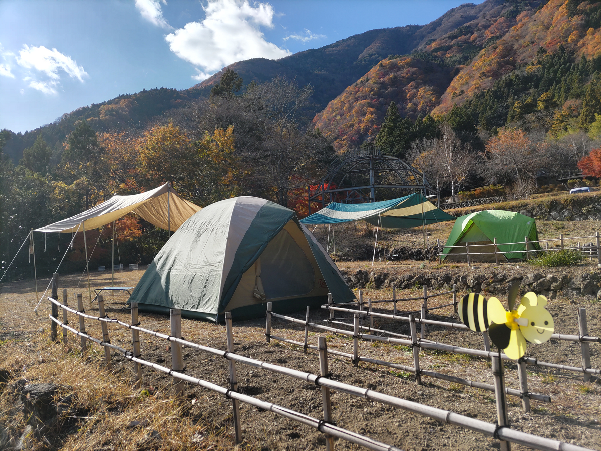 テント・タープ設営