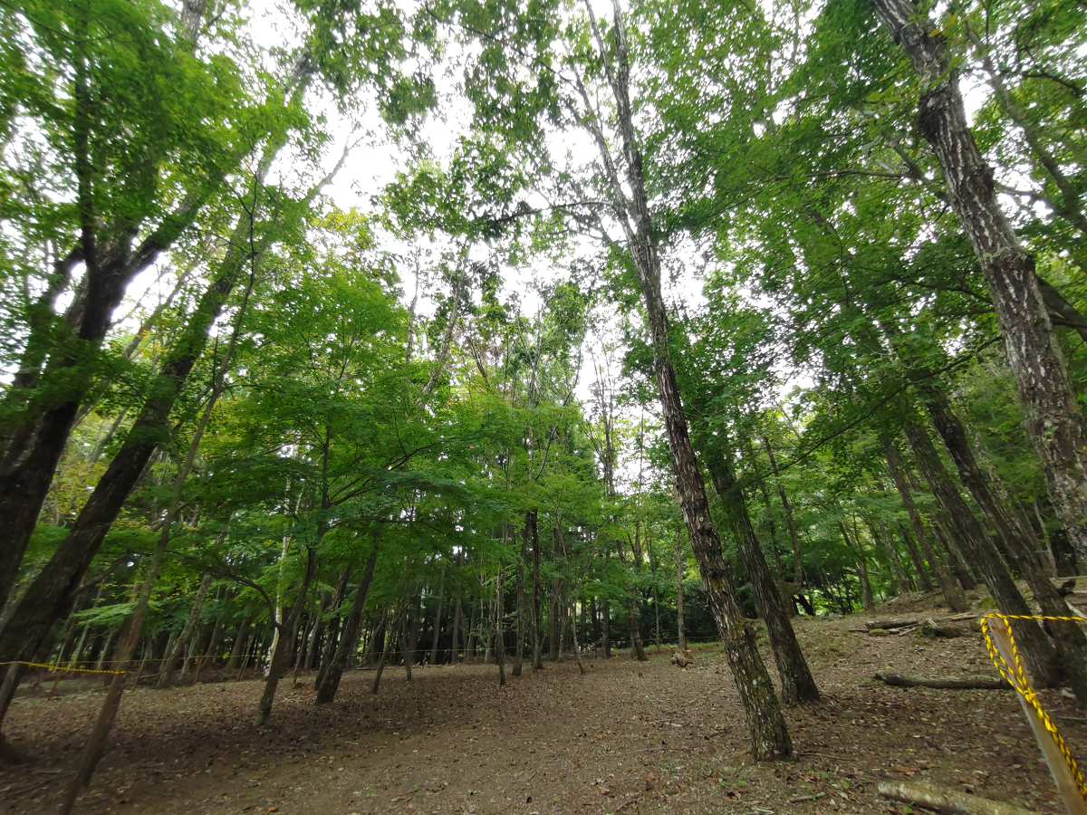 林間フリーサイト【1日3組まで】