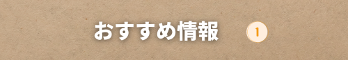 白　茶色　シンプル　太字　ニュース　サイト　クラフト　リットリンクのバナー (1).png