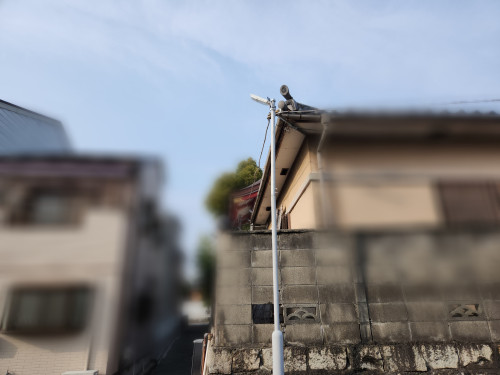 Point Blur_20260330_094010.jpg