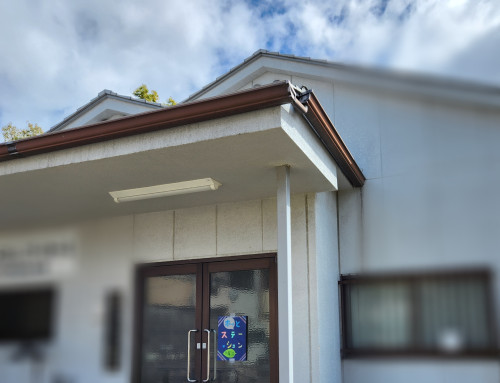 Point Blur_20260330_094426.jpg