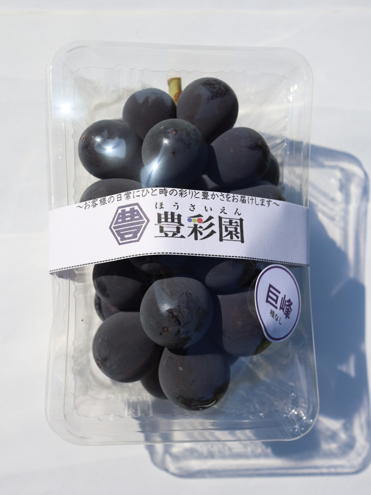 出荷開始🍇