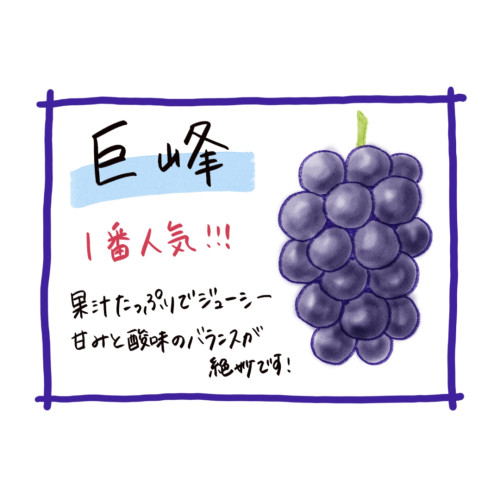 お待たせいたしました🍇