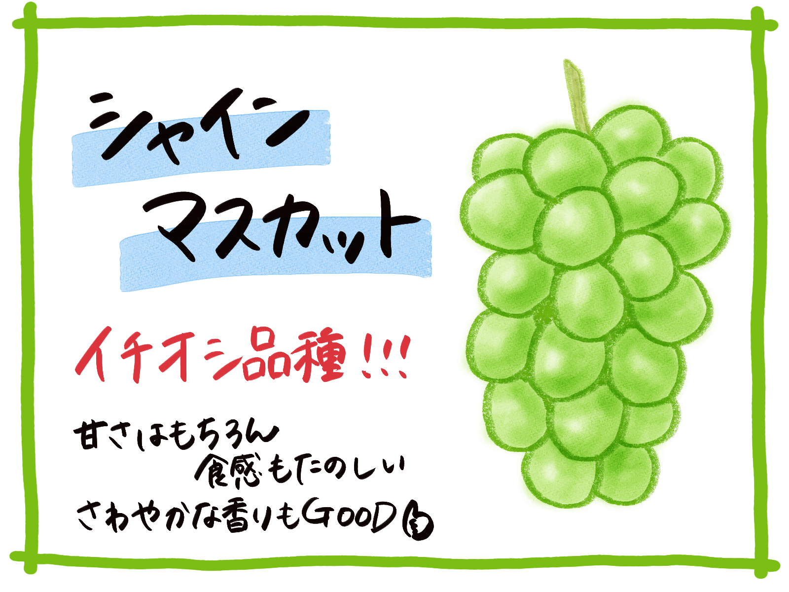 続々、出荷しています！