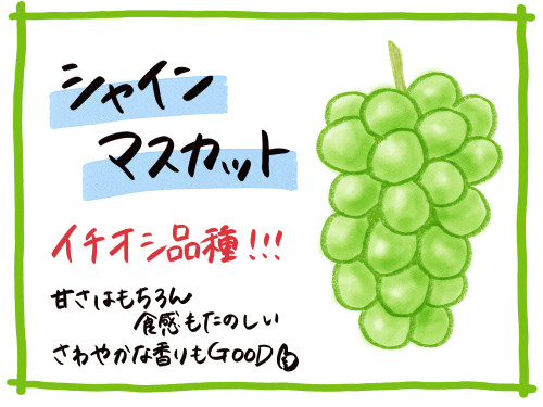 続々、出荷しています！