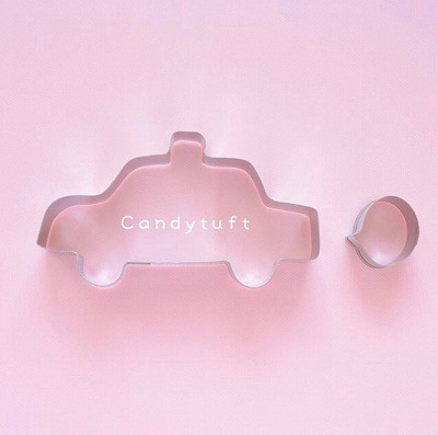 Candytuft02.jpg