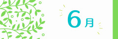 06.png