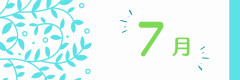 07.png