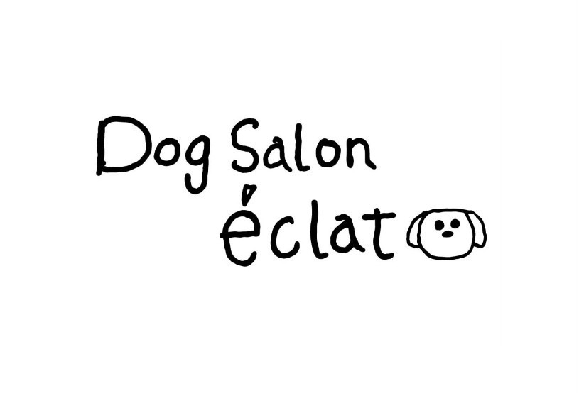 DogSalon éclat 
