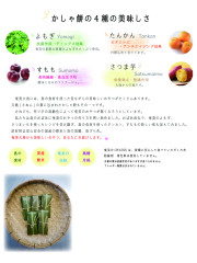 チラシ_裏面0725_アートボード 1.jpg