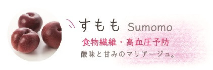 すもも餅