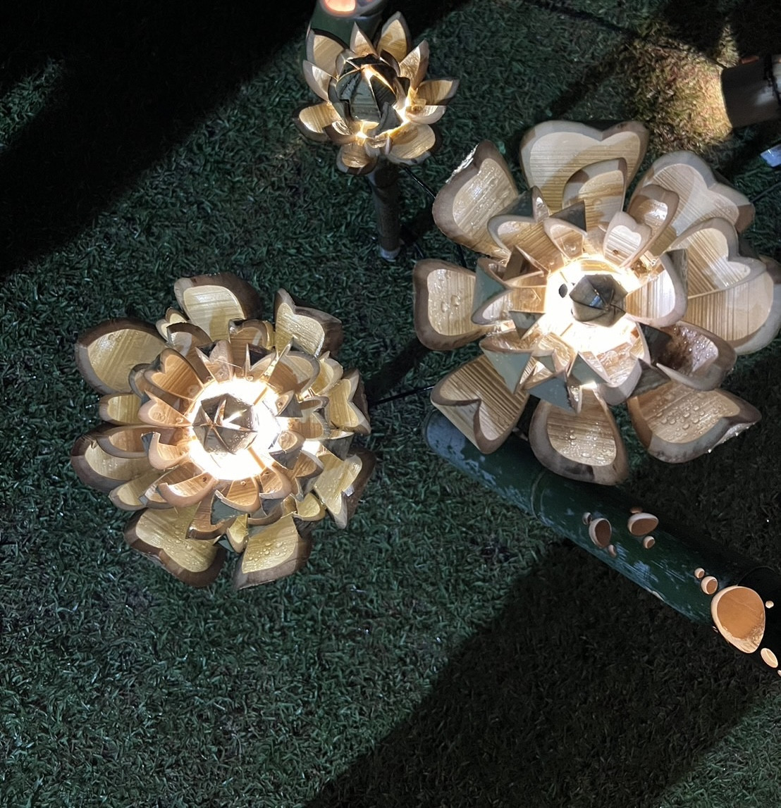 蓮の花