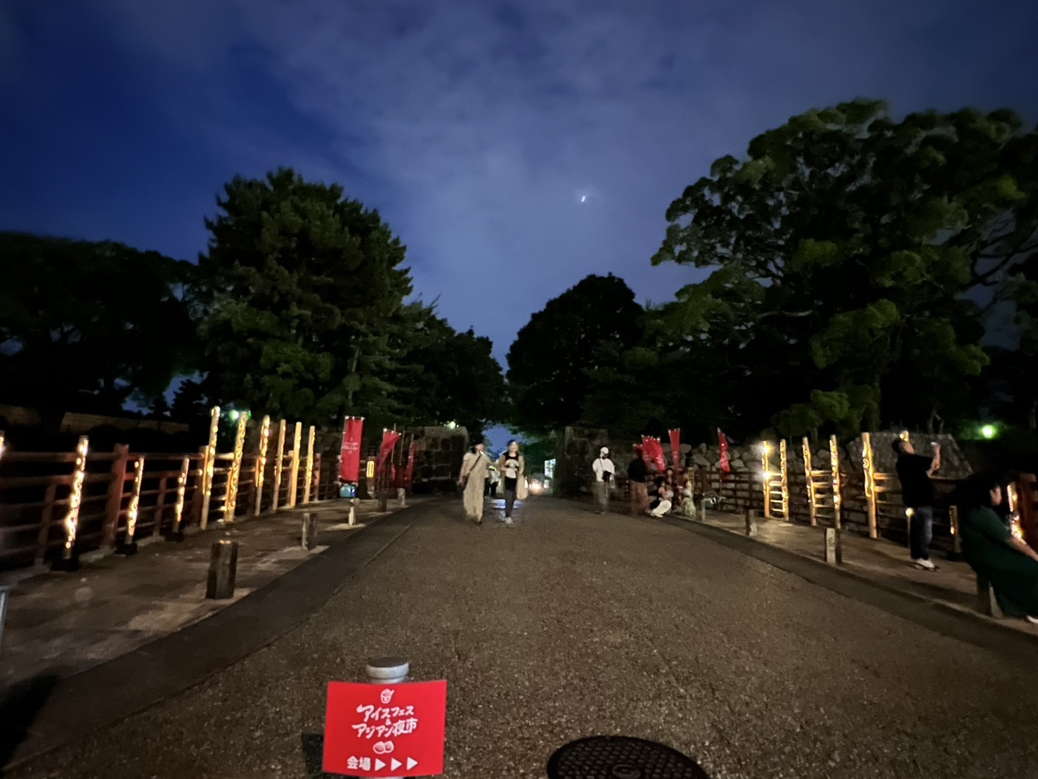 アイスフェスアジアン夜市①.jpg