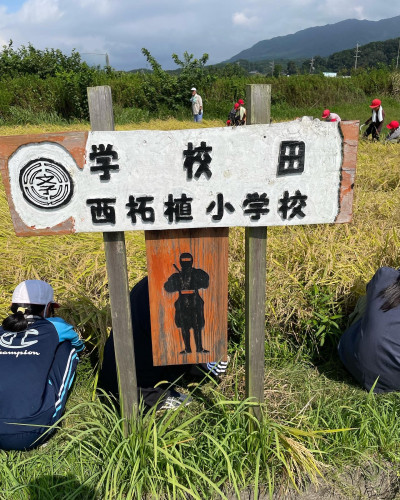 8B3D16FA-4B04-470A-A9B0-683D483173F8.JPG