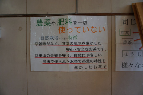 DSC01510.JPG
