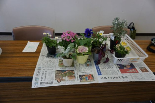 DSC01828.JPG