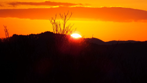 DSCF1685.jpg