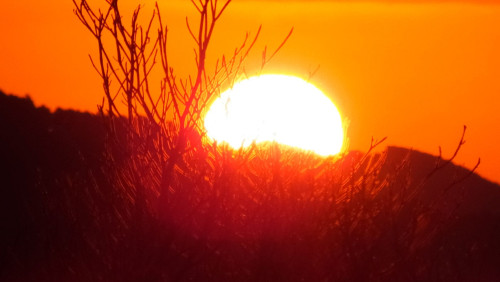 DSCF1693.jpg