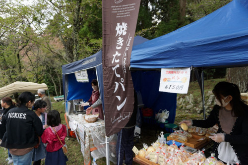 DSC02612.jpg