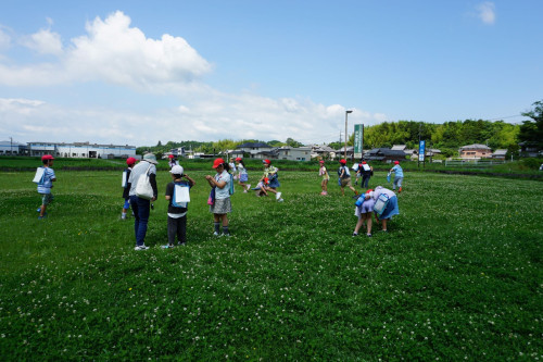 DSC02936.jpg