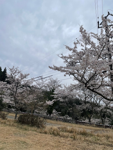 IMG_2364.jpeg