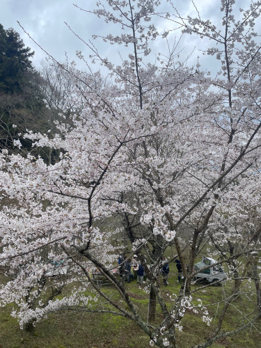 IMG_2405.jpeg