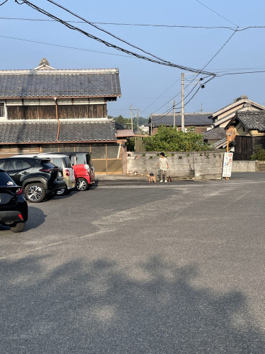 IMG_3625.jpeg