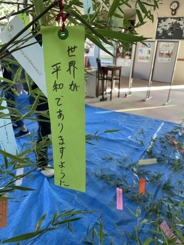 IMG_3839.jpeg