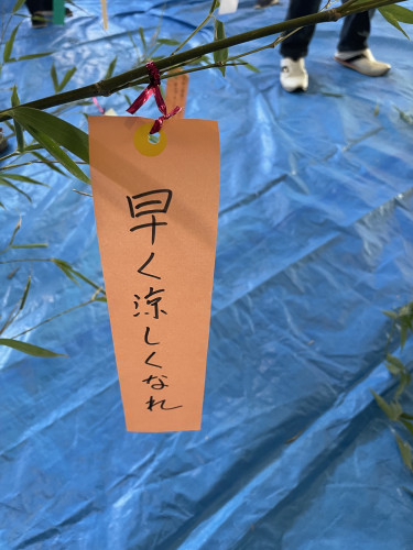 IMG_3840.jpeg