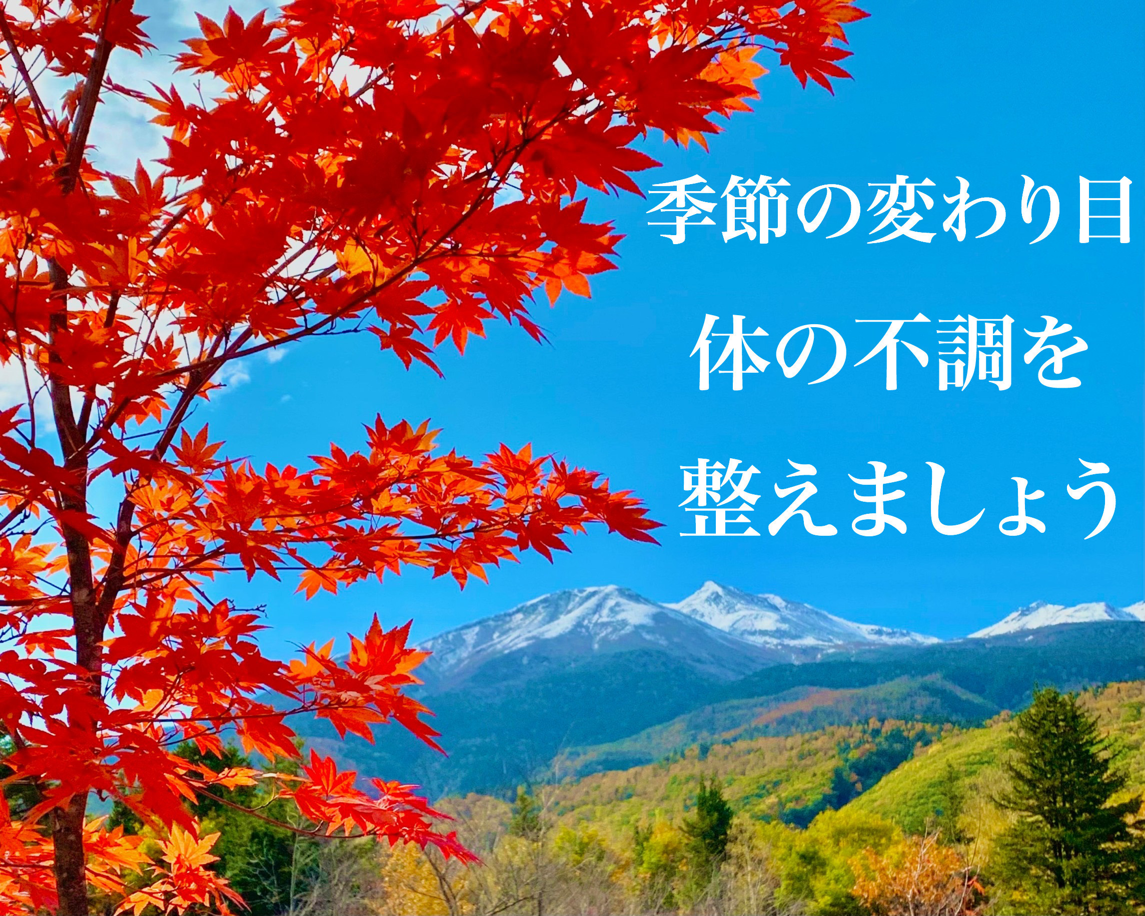 40%割引キャンペーン実施中！